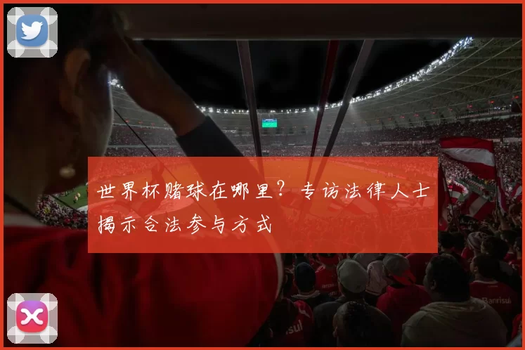 世界杯赌球在哪里?专访法律人士揭示合法参与方式