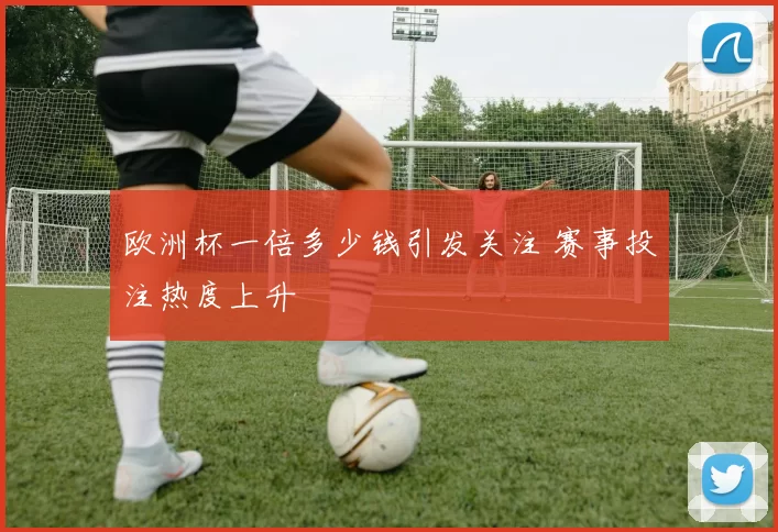 欧洲杯一倍多少钱引发关注 赛事投注热度上升