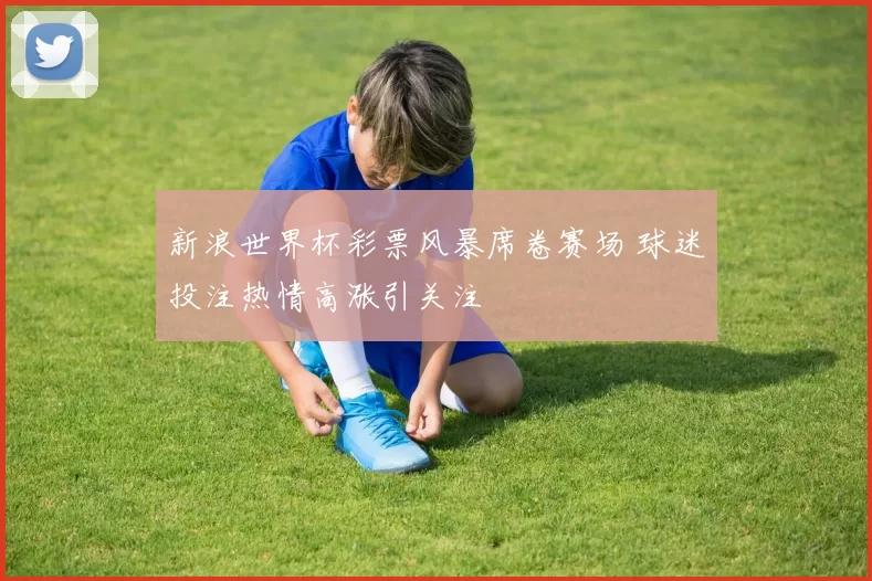 新浪世界杯彩票风暴席卷赛场 球迷投注热情高涨引关注