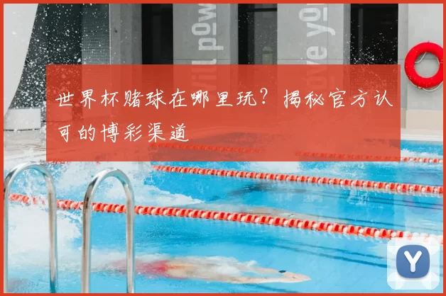 世界杯赌球在哪里玩？揭秘官方认可的博彩渠道