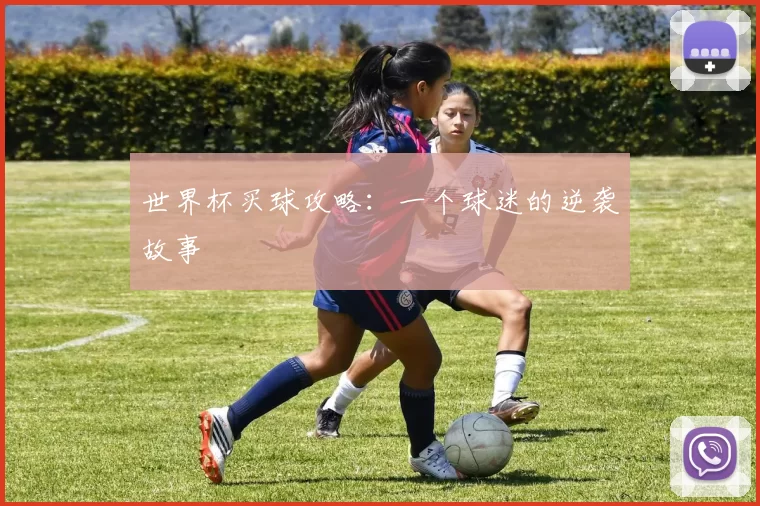 世界杯买球攻略：一个球迷的逆袭故事