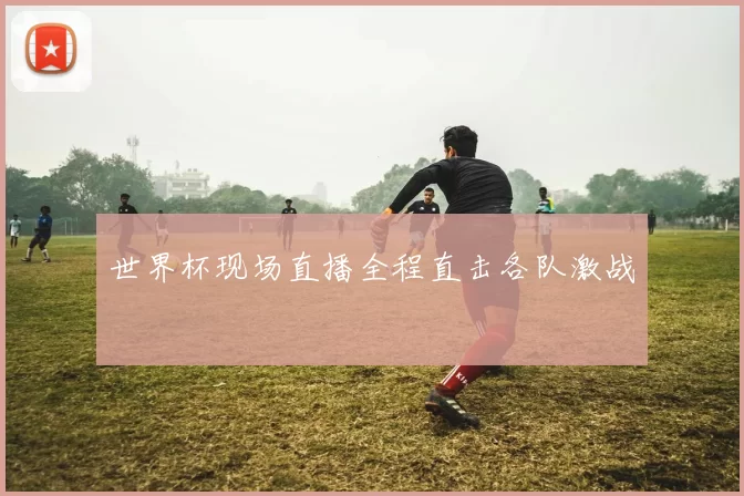 世界杯现场直播全程直击各队激战