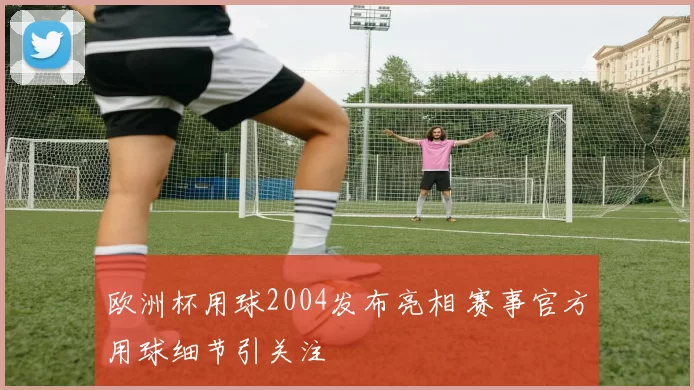 欧洲杯用球2004发布亮相 赛事官方用球细节引关注