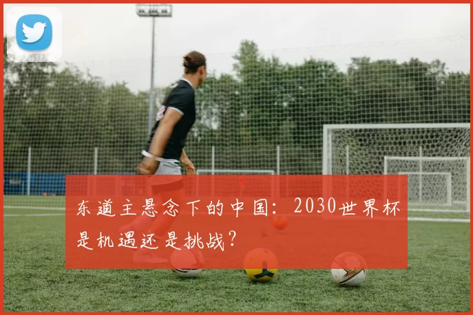 东道主悬念下的中国：2030世界杯是机遇还是挑战？