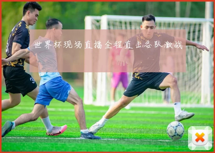 世界杯现场直播全程直击各队激战